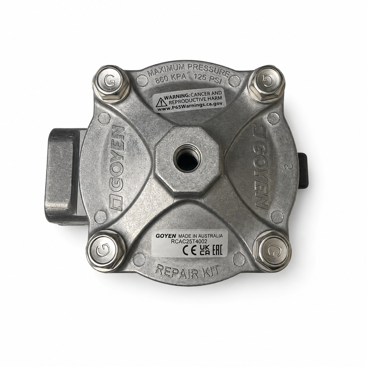 Goyen Pulse Valve